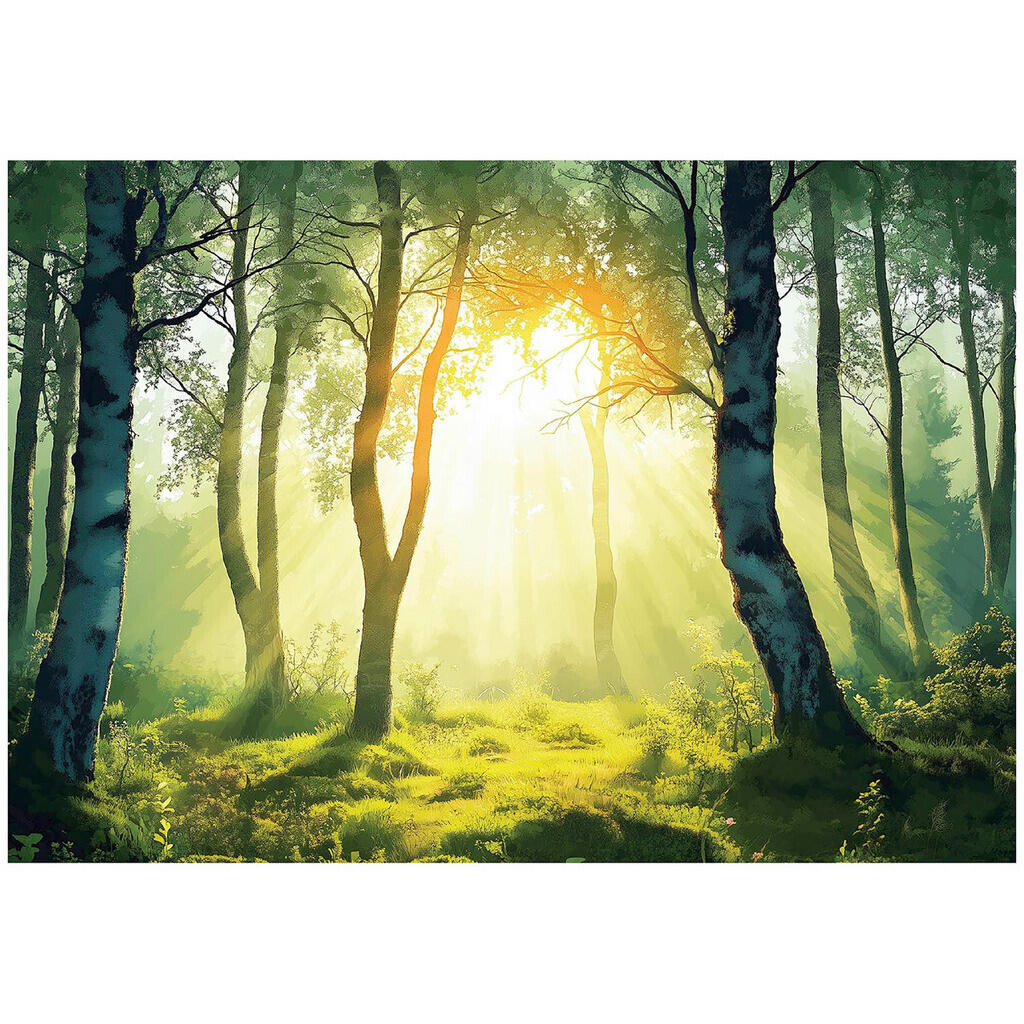 Wallarena 3D efekt fototapeta les příroda do obývacího pokoje 200x140
