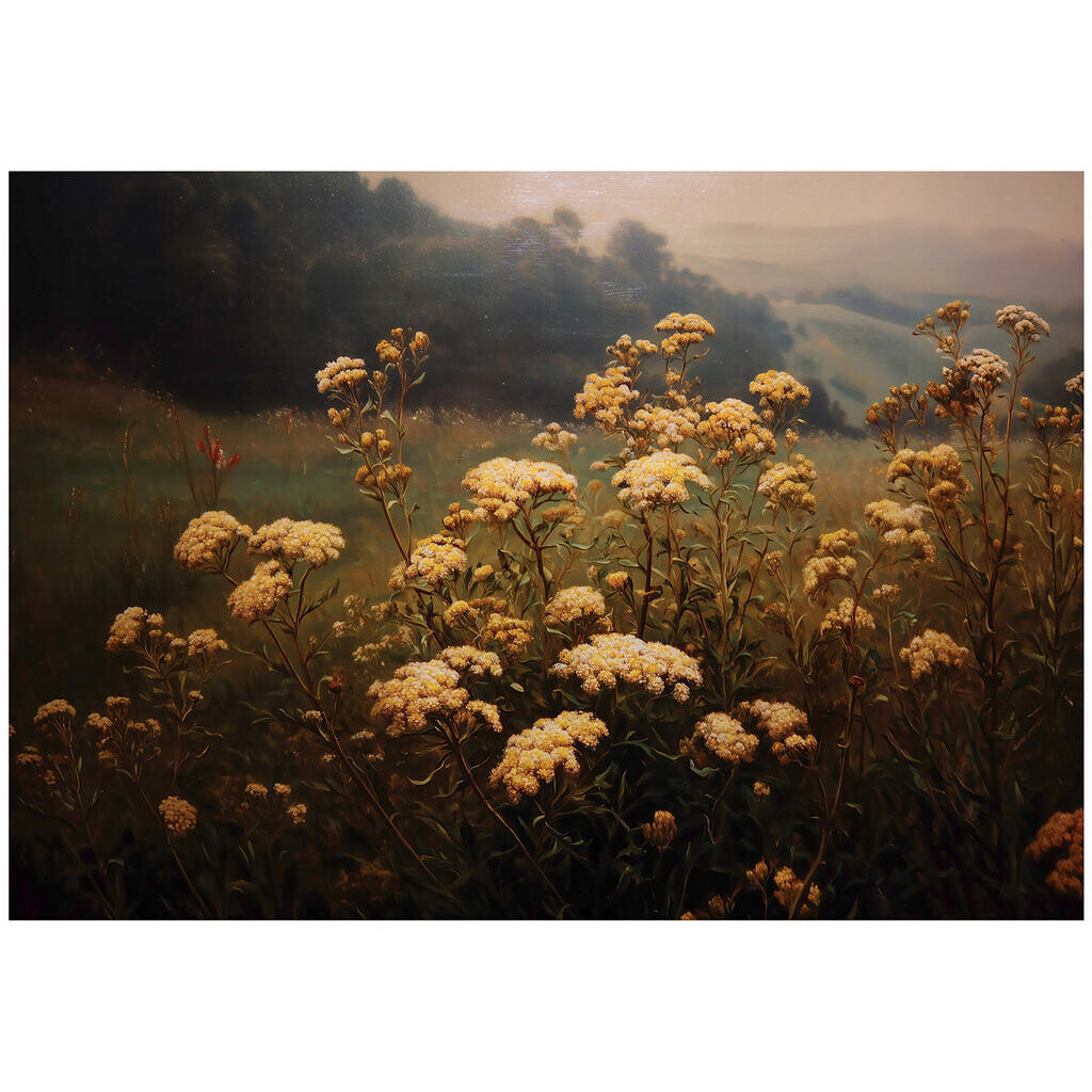Wallarena FOTOTAPETA Květiny Příroda Hnědá 400x280 cm