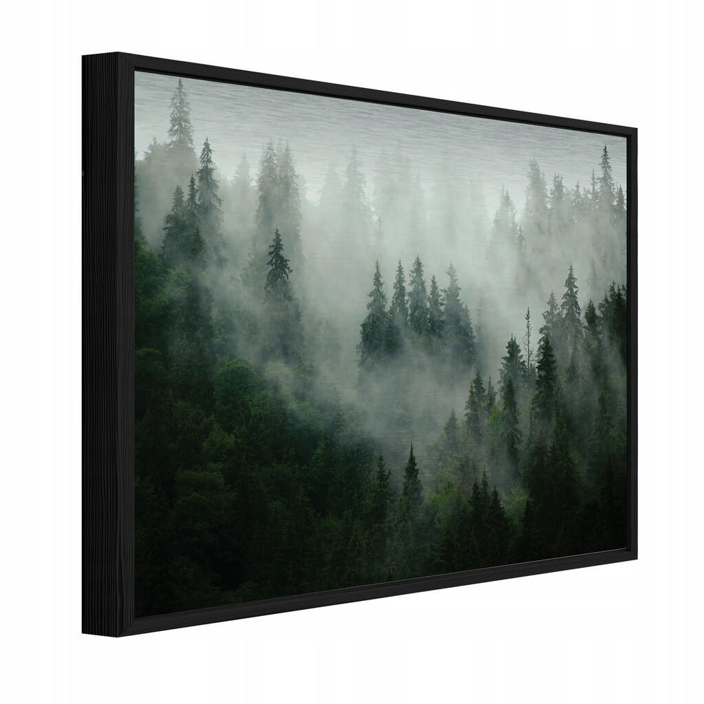 Wallarena ZARÁMOVANÉ obrazy les v mlze příroda zelená 150x100 cm