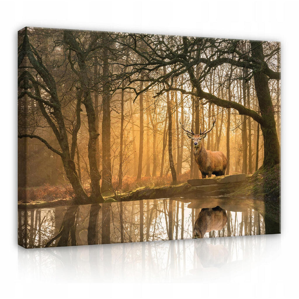 Wallarena PLÁTNO Příroda Les Jelen 60x40