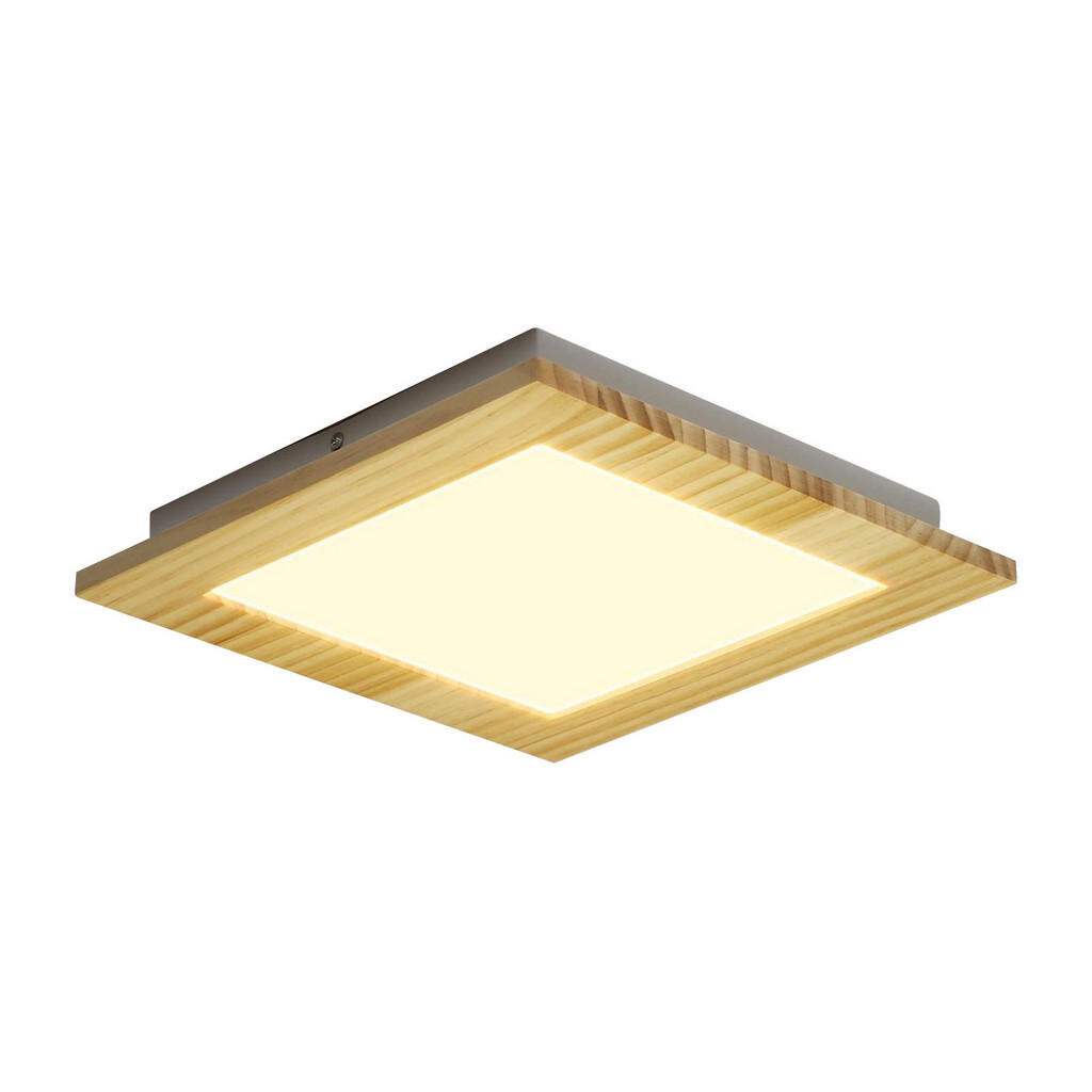Nettlife STROPNÍ LED svítidlo Heinrich 30/30/5 cm
