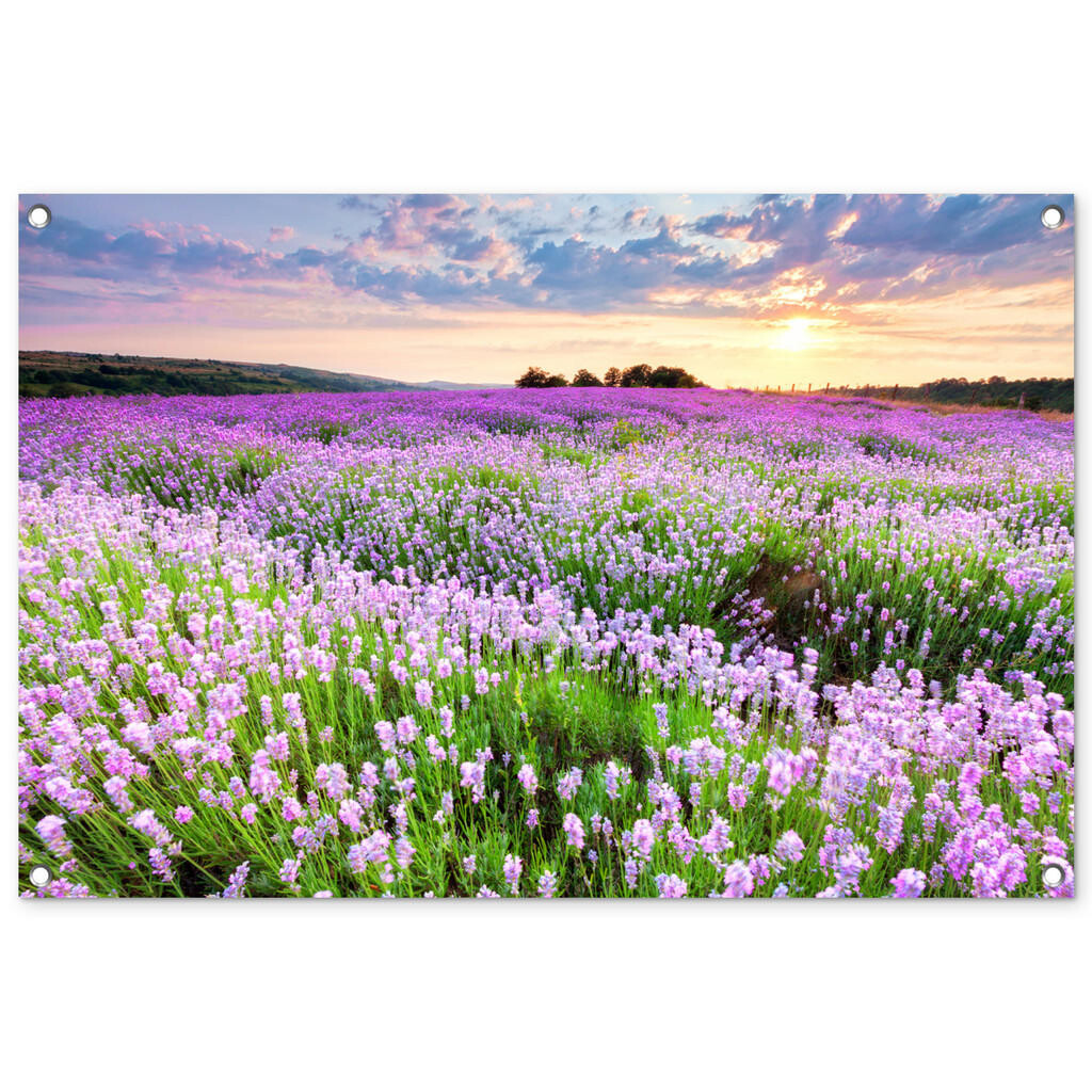 OnlyWow ZAHRADNÍ PLAKÁT Květiny - Levandule - Fialová - Obloha - Západ slunce - Louka - Příroda 90x60 cm