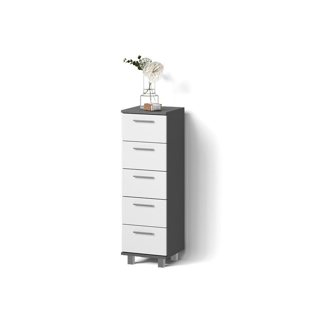 Livinity® SKŘÍŇKA DO KOUPELNY Eisak Antracit 30 x 95 cm