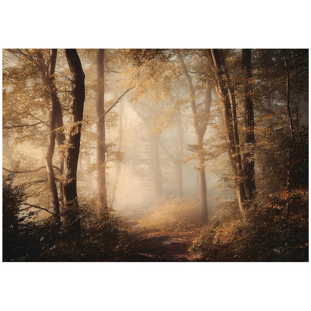 Wallarena FOTOTAPETA les stromy hnědá 300x210 cm