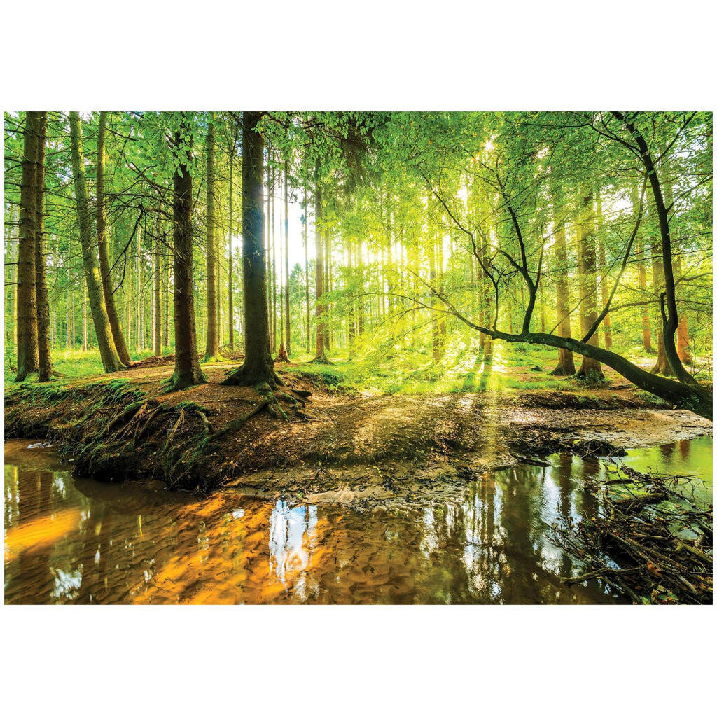 Wallarena FOTOTAPETA do dětského pokoje slunce 200x140