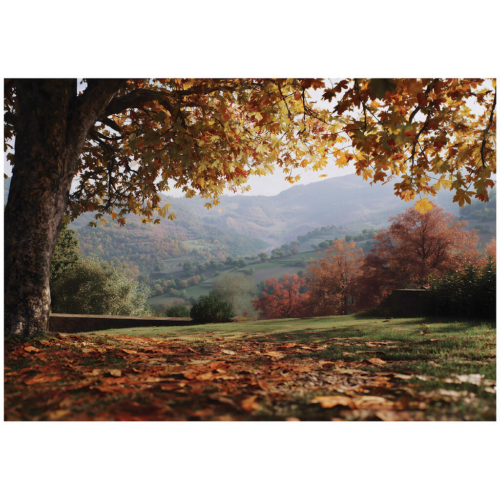 Wallarena FOTOTAPETA krajina les hnědá 300x210 cm