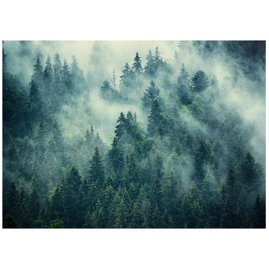 Wallarena FOTOTAPETA: Les v mlze vliesová tapeta 150x105