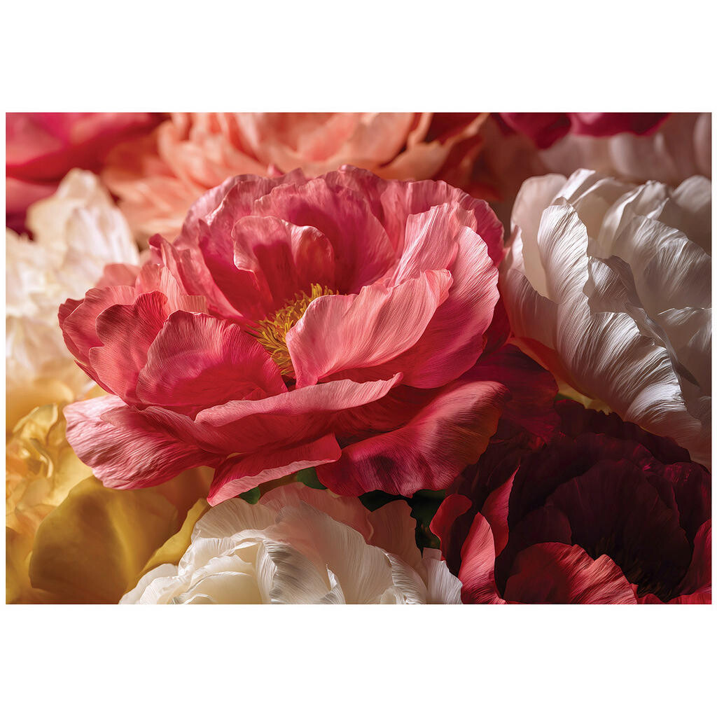 Wallarena FOTOTAPETA: Květiny pivoňky červená 350x250 cm