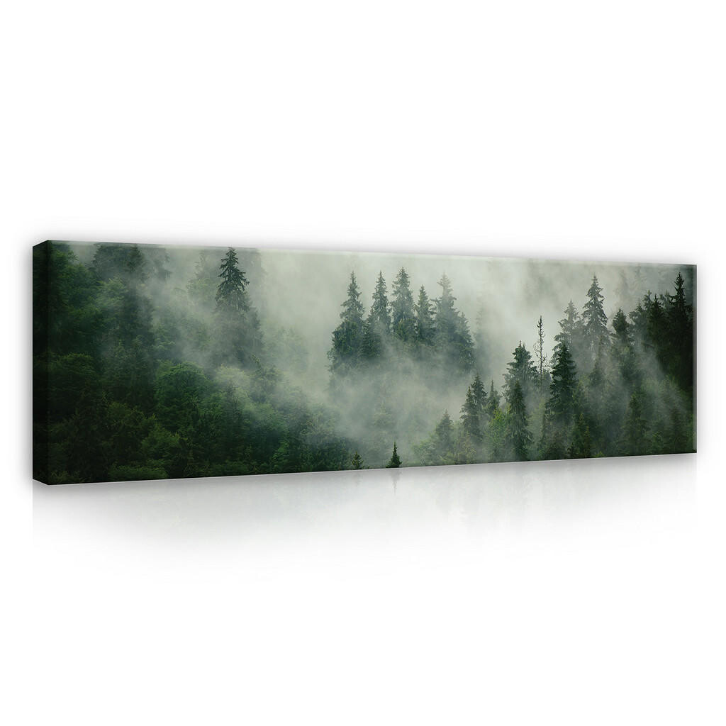 Wallarena OBRAZY Lesní mlha Moderní obývací pokoj Ložnice 145x45