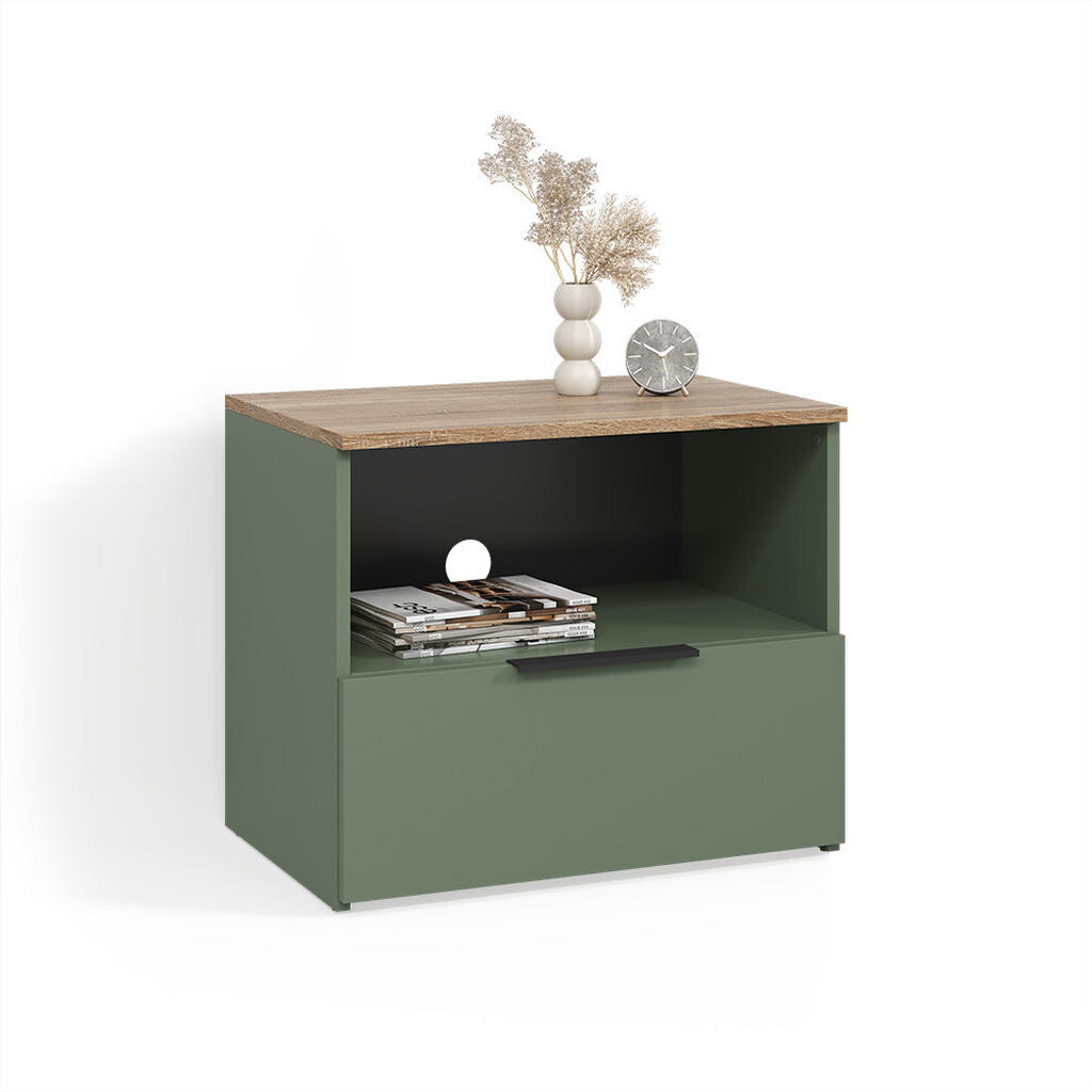 Livinity® NÍZKÝ NÁBYTEK POD TELEVIZI Piave Zelená 60 x 50 cm se zásuvkou