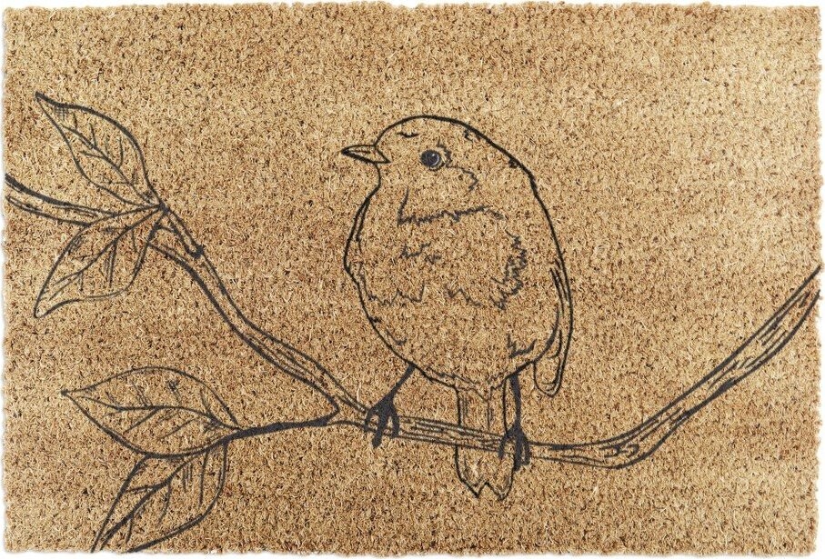 Rohožka z kokosového vlákna 40x60 cm Pencil Robin – Artsy Doormats