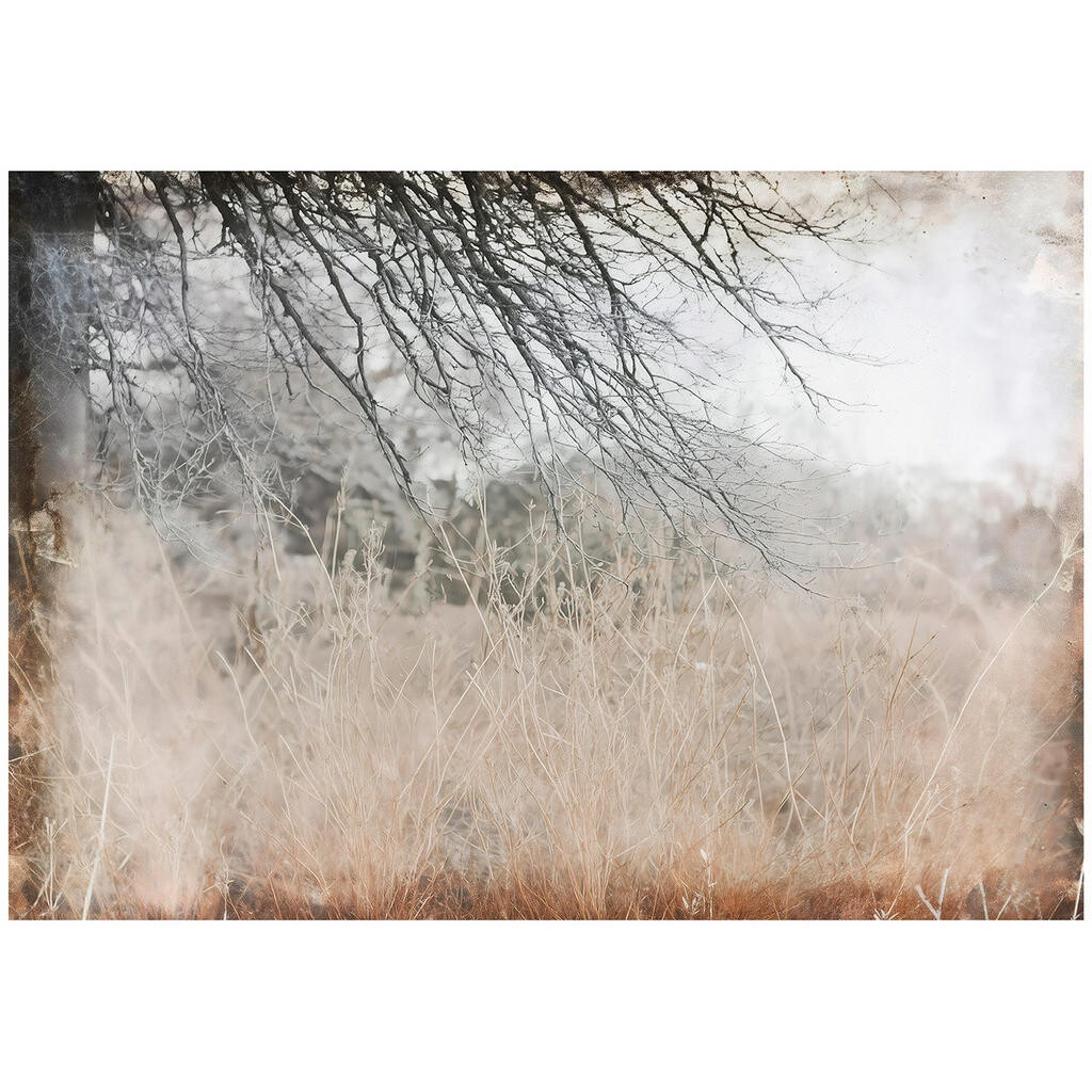 Wallarena FOTOTAPETA louka abstraktní hnědá 200x140 cm