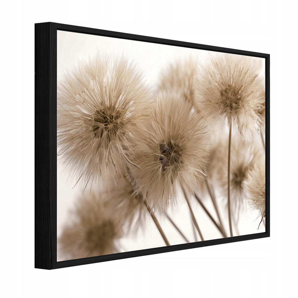 Wallarena ZARÁMOVANÉ obrazy pampelišky květiny béžová 120x80 cm