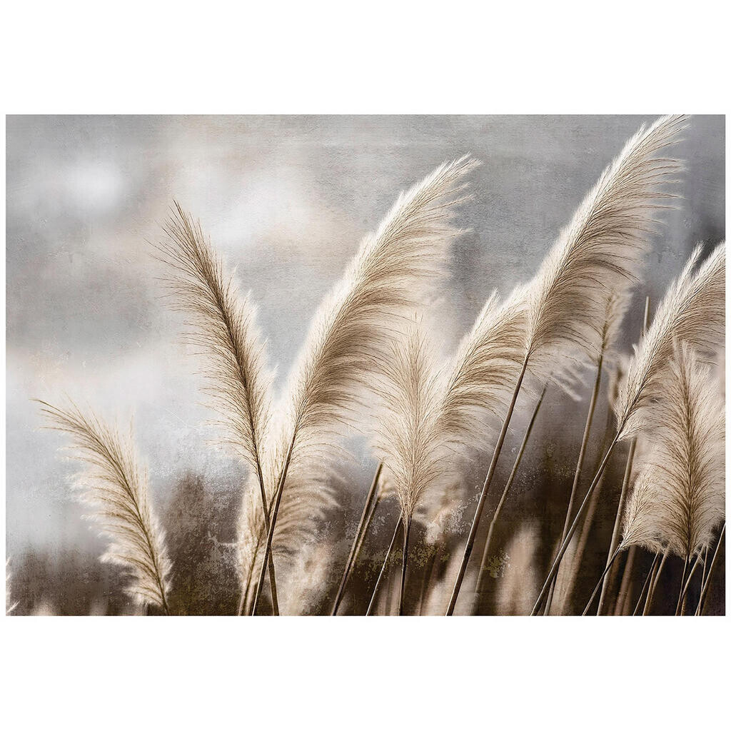 Wallarena FOTOTAPETA Pampas tráva přírodní béžová 254x184 cm