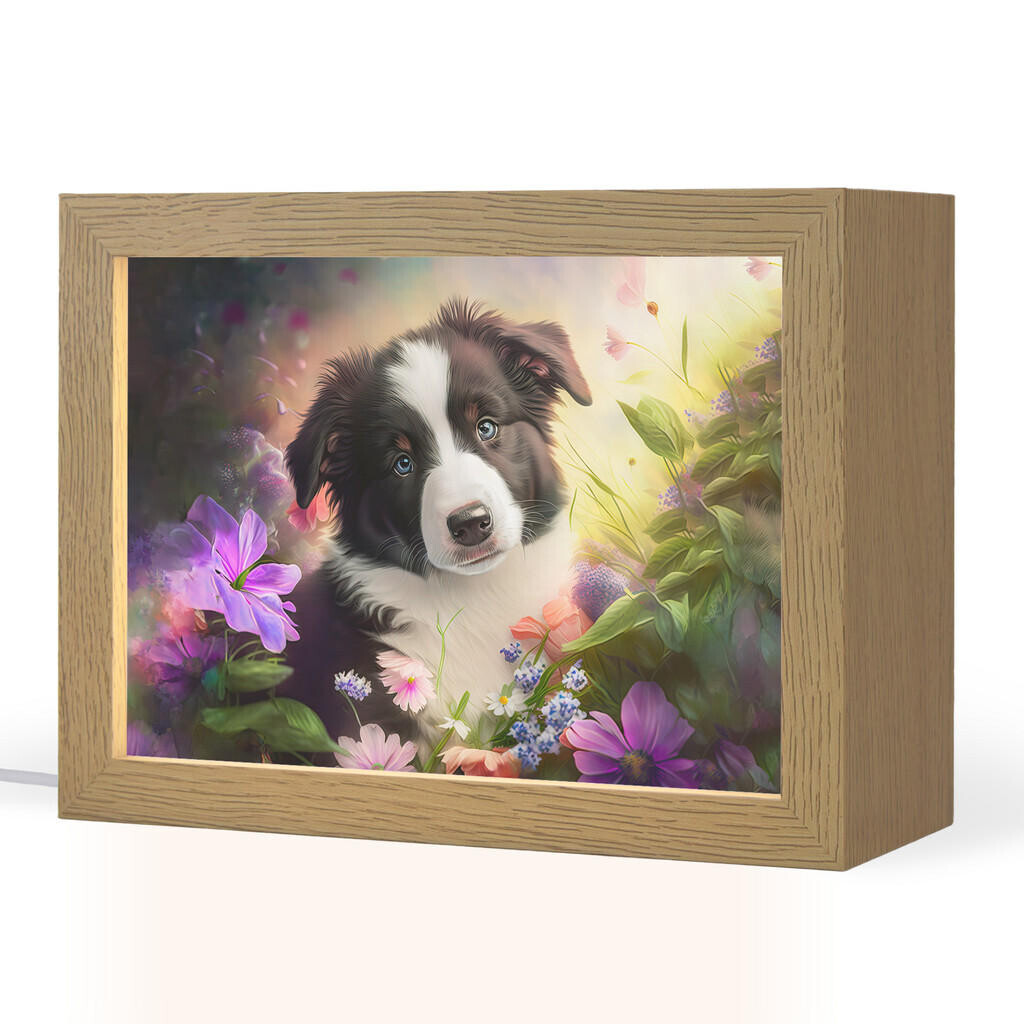 OnlyWow NOČNÍ LAMPIČKA Štěně - Slunce - Květiny - Příroda - Border kolie - Pes 20x15 cm