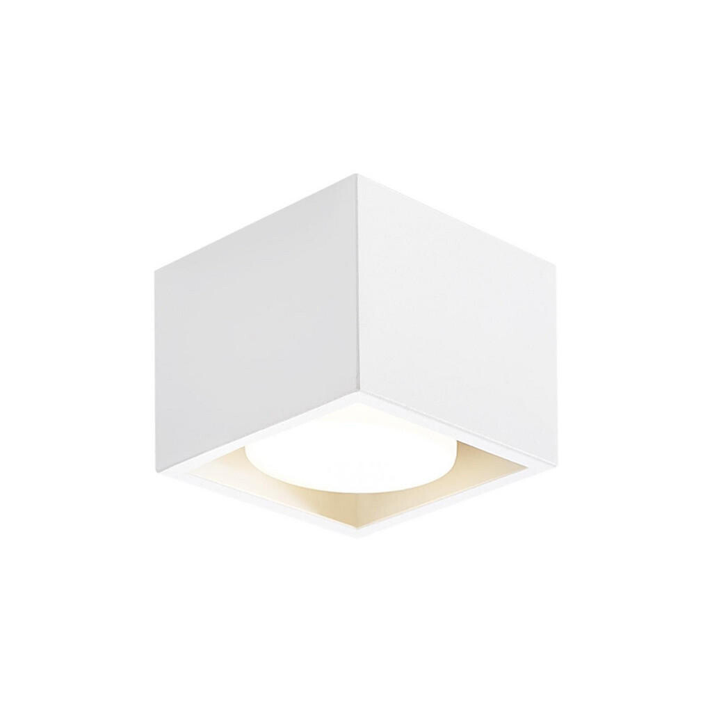 Nettlife STROPNÍ bodové světlo Dunlap 1-plameňové 10/10/8 cm