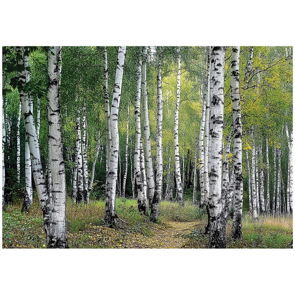 Wallarena 3D efekt Fototapeta Les Stromy Příroda Fototapeta Obývací pokoj 200x140
