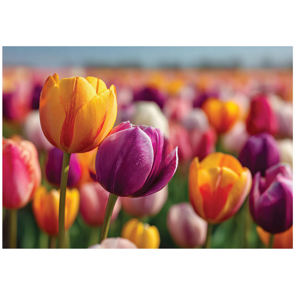 Wallarena FOTOTAPETA Květiny Tulipány Barevné 200x140 cm