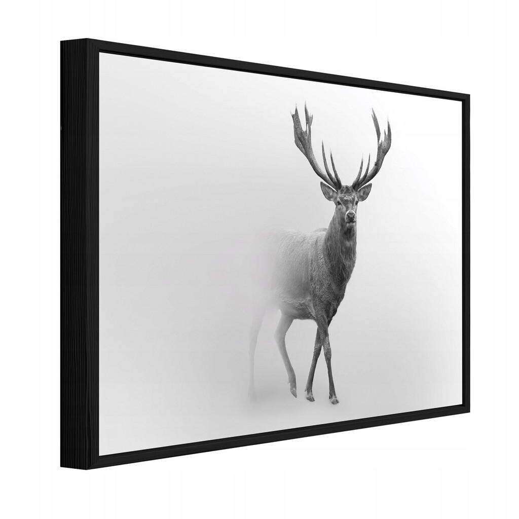 Wallarena ZARÁMOVANÉ obrazy jelen mlžně šedá 120x80 cm