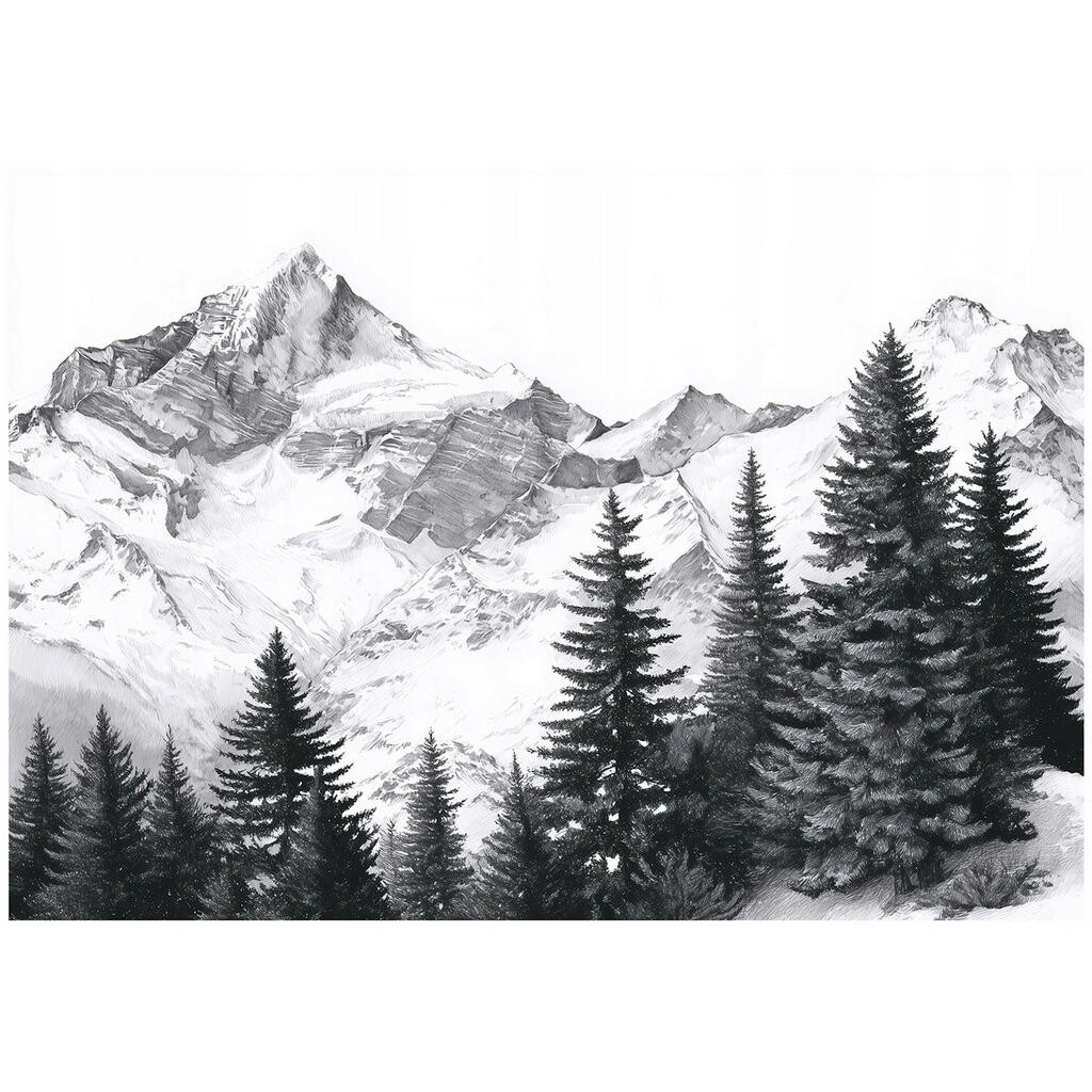 Wallarena FOTOTAPETA: Hory les černobílá 350x250 cm