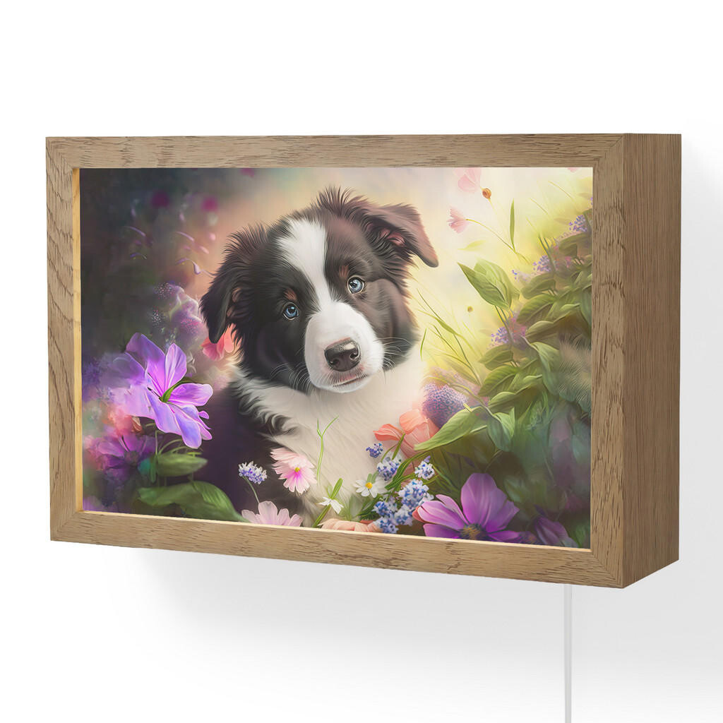 OnlyWow NÁSTĚNNÁ LAMPA Štěně - Slunce - Květiny - Příroda - Border kolie - Pes 30x20 cm