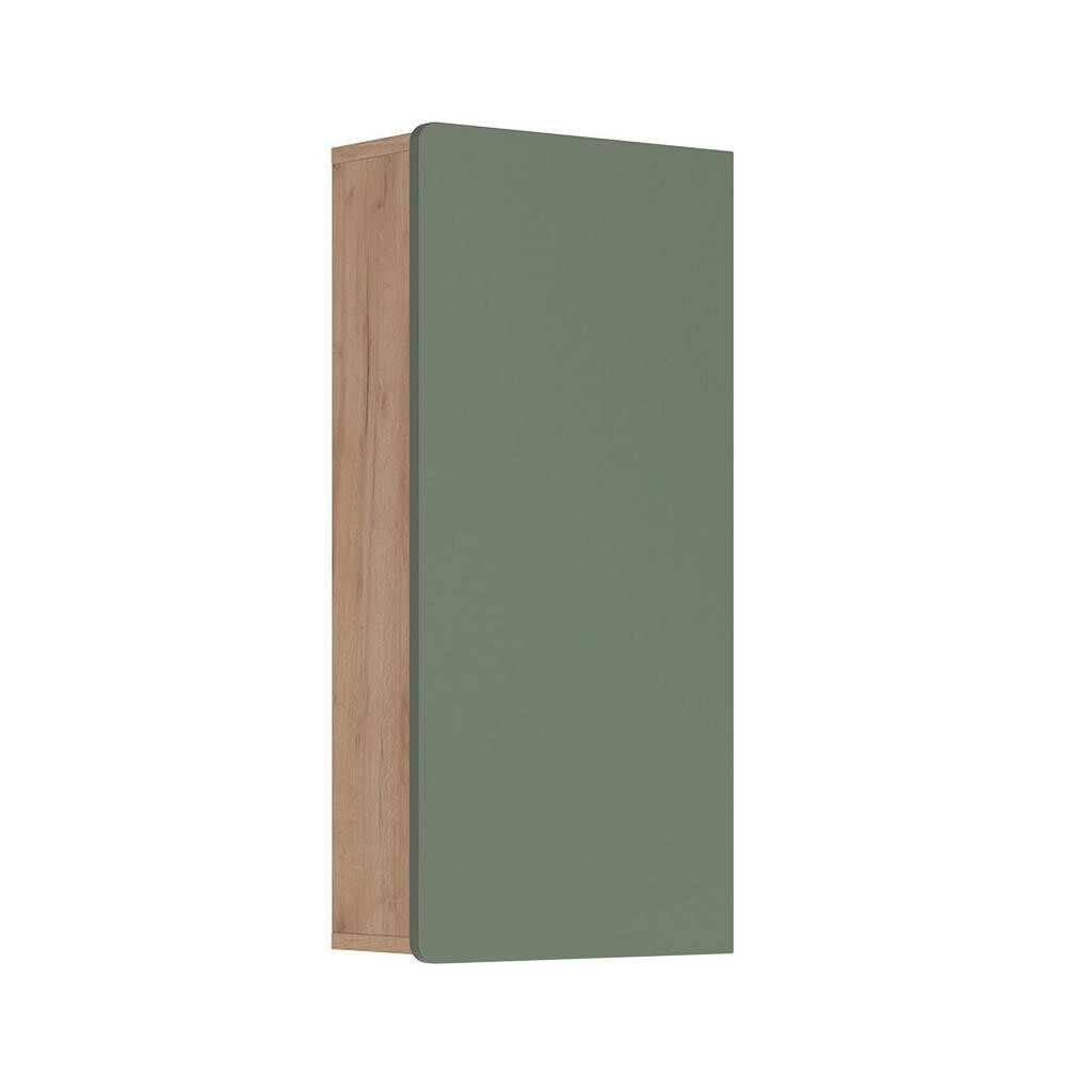 Vicco NÁSTĚNNÉ SKŘÍŇKY Izan Zelený/zlatý dub 36.6 x 76.6 cm