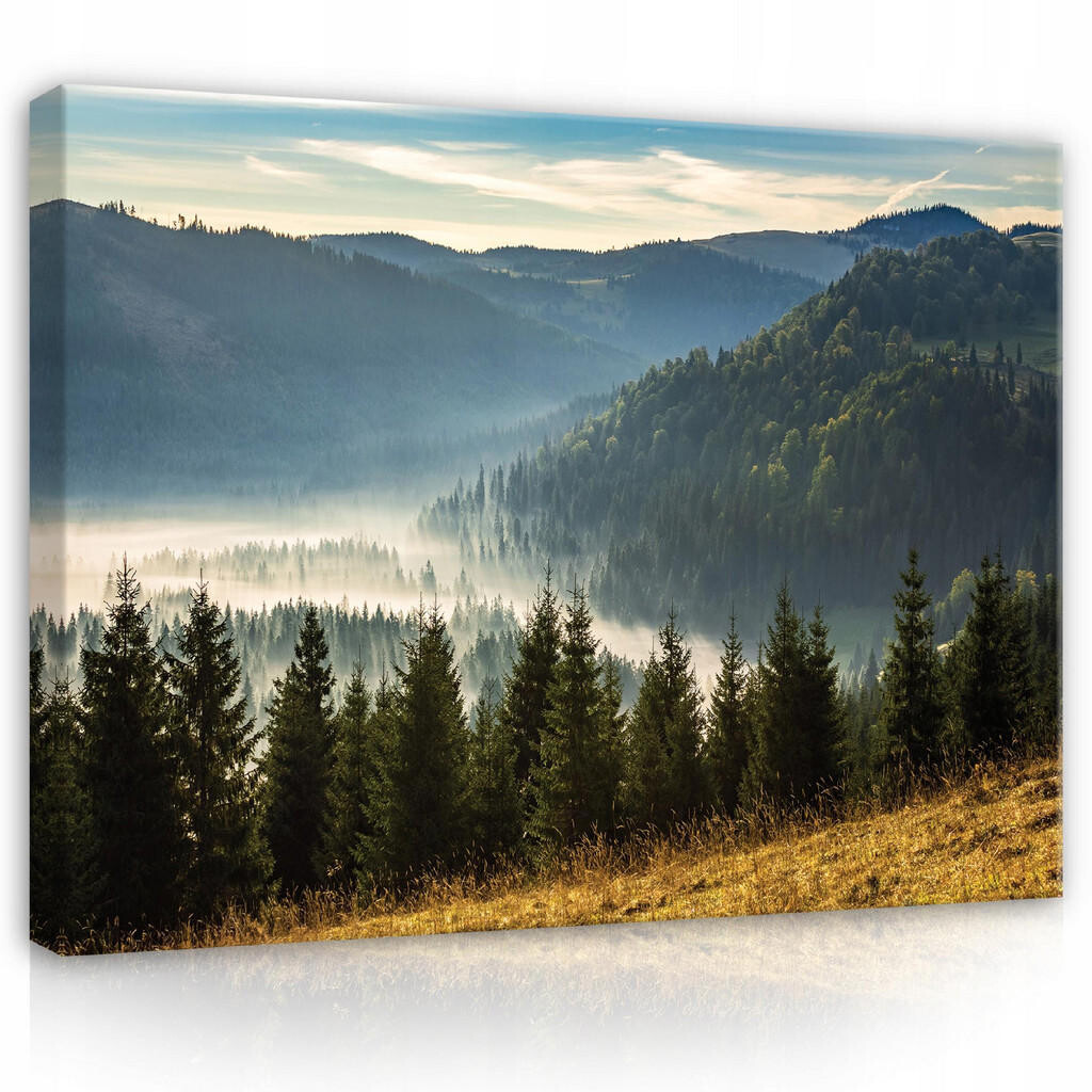 Wallarena PLÁTNO Příroda Hory Krajina 100x70