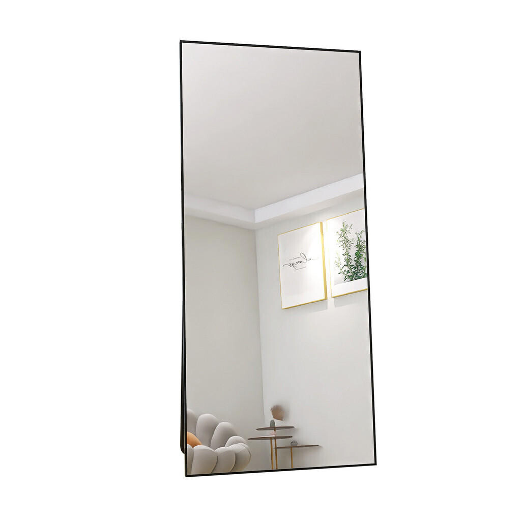 SHOPENTRA STOJACÍ zrcadlo 180x80 cm obdélníkový hliníkový rám černé tvrzené sklo