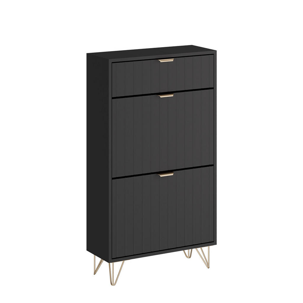 Vicco SKŘÍŇ NA BOTY Helge Černá 60 x 107.5 cm 2 přihrádky