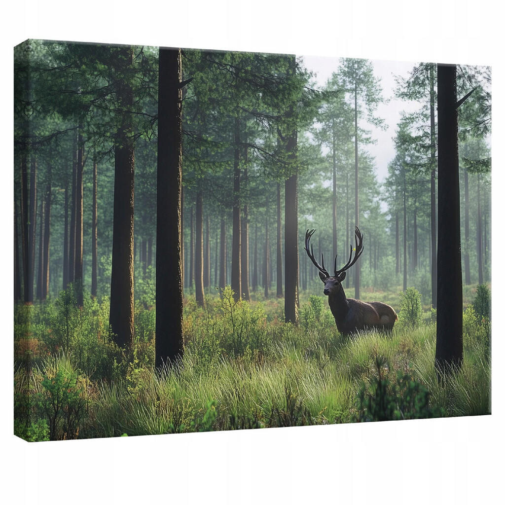 Wallarena NÁSTĚNNÉ obrazy jelen les příroda moderní 60x40