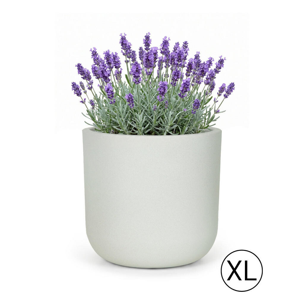Mazovia KVĚTINÁČ bílý Ecru ELEGANTE XL 56x56x54 cm