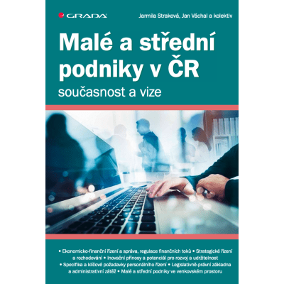 Malé a střední podniky v ČR – současnost a vize