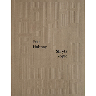 Skrytá kopie