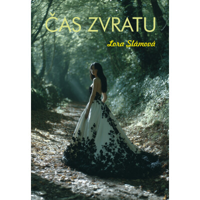 Čas zvratu