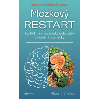 Mozkový restart