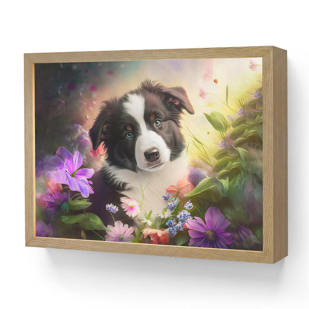 OnlyWow DOBÍJECÍ NOČNÍ LAMPIČKA Štěně - Slunce - Květiny - Příroda - Border kolie - Pes 40x30 cm