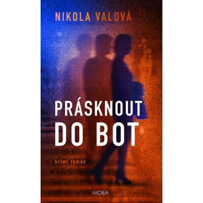 Prásknout do bot