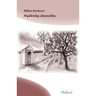 Myšlenky okamžiku