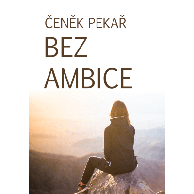 Bez ambice