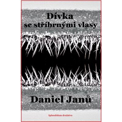 Dívka se stříbrnými vlasy