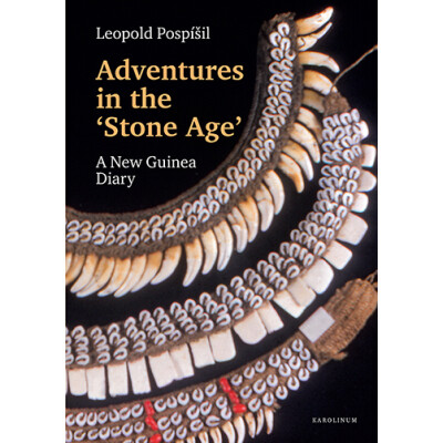 Adventures in the Stone Age