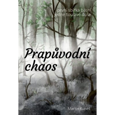 Prapůvodní chaos