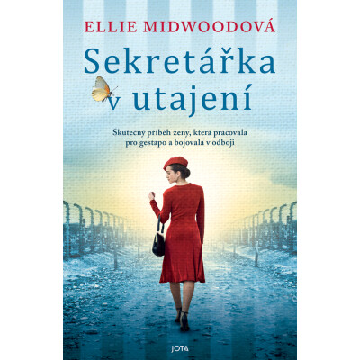 Sekretářka v utajení