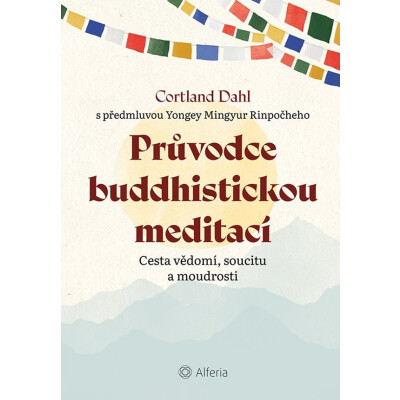 Průvodce buddhistickou meditací