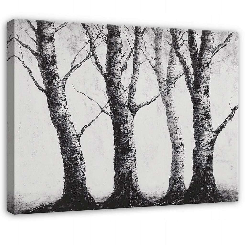 Wallarena OBRAZY Les Černobílý Příroda Stromy 60x40