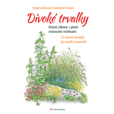 Divoké trvalky