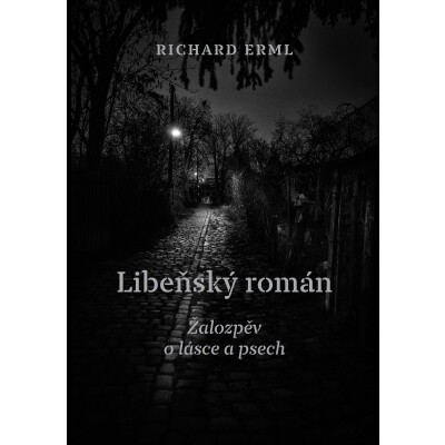 Libeňský román
