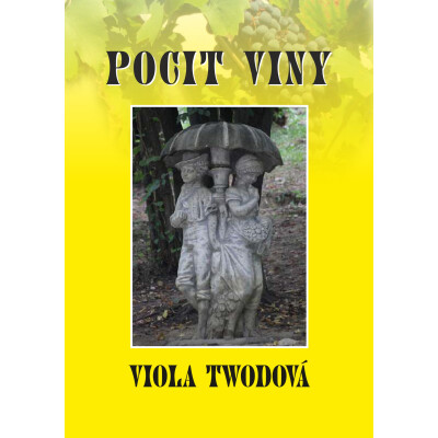 Pocit viny