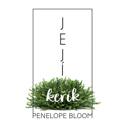 Její keřík
