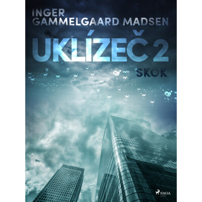 Uklízeč 2: Skok